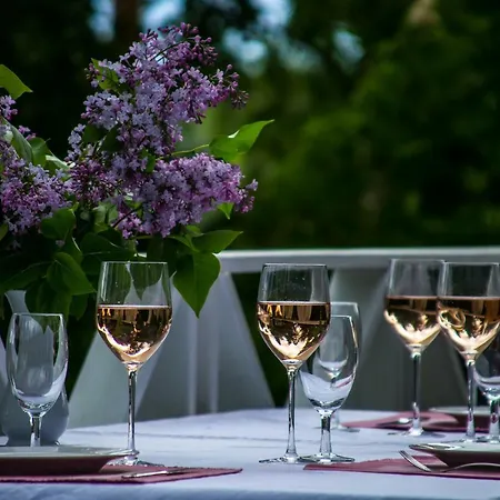 Valentin Holiday home Enonkoski
